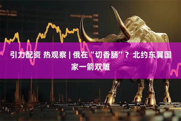 引力配资 热观察 | 俄在“切香肠”？北约东翼国家一箭双雕