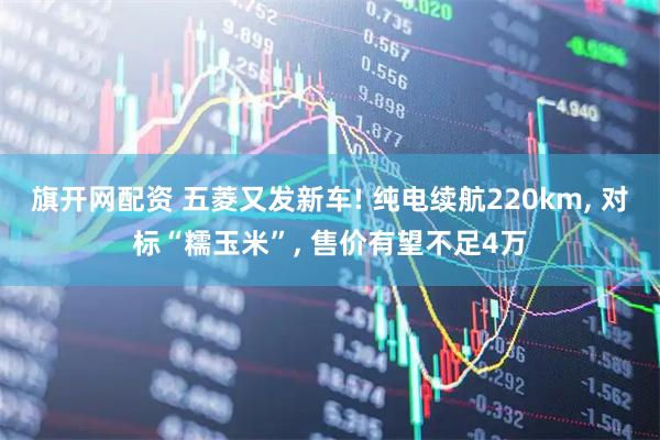 旗开网配资 五菱又发新车! 纯电续航220km, 对标“糯玉米”, 售价有望不足4万