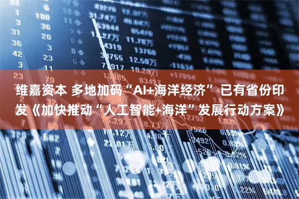 维嘉资本 多地加码“AI+海洋经济” 已有省份印发《加快推动“人工智能﹢海洋”发展行动方案》