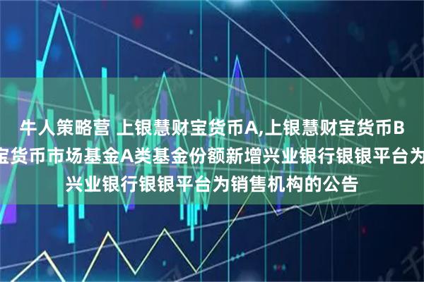 牛人策略营 上银慧财宝货币A,上银慧财宝货币B: 关于上银慧财宝货币市场基金A类基金份额新增兴业银行银银平台为销售机构的公告