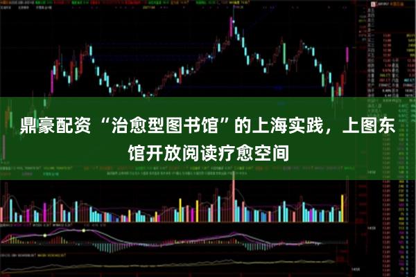 鼎豪配资 “治愈型图书馆”的上海实践，上图东馆开放阅读疗愈空间