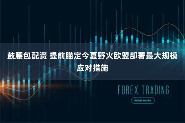 鼓腰包配资 提前瞄定今夏野火　欧盟部署最大规模应对措施